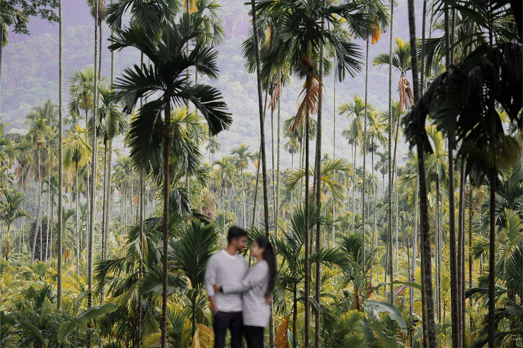 akash-kaviya image 1